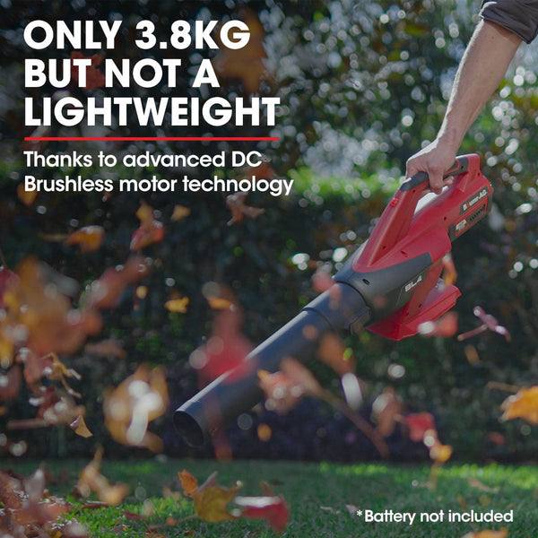 Baumr-AG 40V Cordless Electric Leaf Blower (Skin Only) Platinum Deals