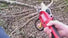 Zenport EP2 ePruner 1.25-inch Cut Battery Powered Electric Pruner Zenport