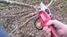 Zenport EP2 ePruner 1.25-inch Cut Battery Powered Electric Pruner Zenport