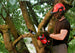 SKIL CS4562B-10 PWR CORE 20 Brushless 12 IN. Chain Saw with 4.0Ah Battery and Charger SKIL