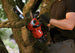 SKIL CS4562B-10 PWR CORE 20 Brushless 12 IN. Chain Saw with 4.0Ah Battery and Charger SKIL