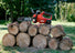 SKIL CS4562B-10 PWR CORE 20 Brushless 12 IN. Chain Saw with 4.0Ah Battery and Charger SKIL
