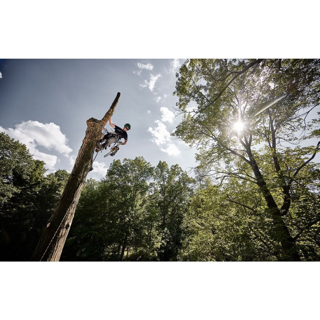 DeWalt DCCS674X2 FLEXVOLT 20V/60V MAX Brushless 14-in. Top Handle Chainsaw 9.0Ah Kit DeWALT