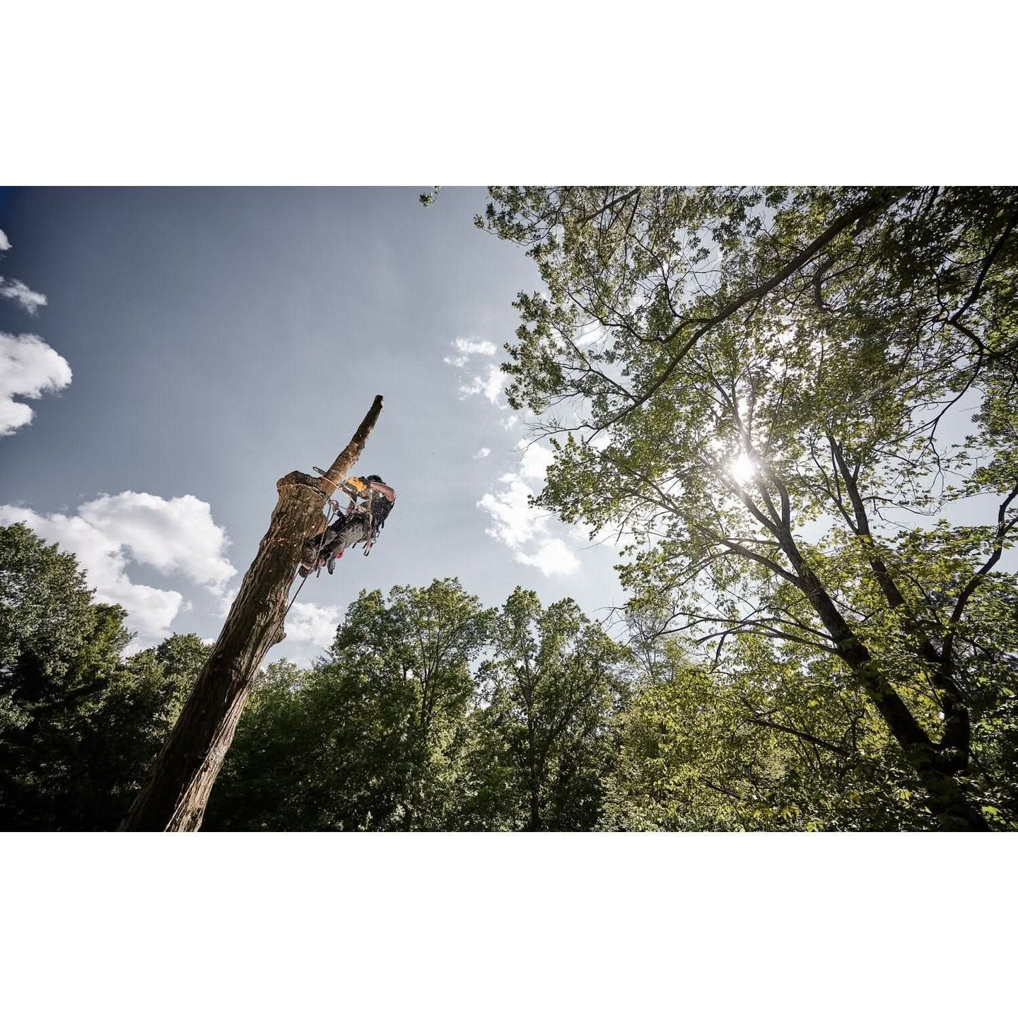 DeWalt DCCS674X2 FLEXVOLT 20V/60V MAX Brushless 14-in. Top Handle Chainsaw 9.0Ah Kit DeWALT