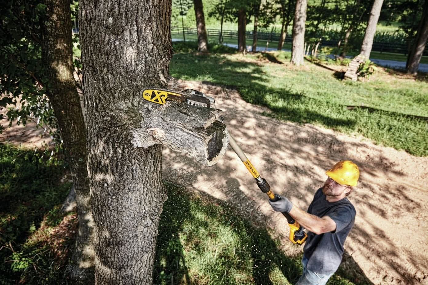 DeWalt DCPS620B 20V MAX XR Cordless Pole Saw, Tool Only DeWALT