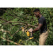 DeWalt DCCS623L1 20V MAX XR Brushless 8 in. Chainsaw 3.0Ah Kit DeWALT