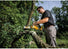 DeWalt DCCS623L1 20V MAX XR Brushless 8 in. Chainsaw 3.0Ah Kit DeWALT