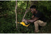 DeWalt DCCS623B 20V MAX XR Brushless 8 in. Chainsaw, Tool Only DeWALT