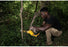 DeWalt DCCS623L1 20V MAX XR Brushless 8 in. Chainsaw 3.0Ah Kit DeWALT