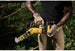 DeWalt DCCS623B 20V MAX XR Brushless 8 in. Chainsaw, Tool Only DeWALT