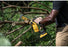 DeWalt DCCS623B 20V MAX XR Brushless 8 in. Chainsaw, Tool Only DeWALT