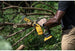 DeWalt DCCS623B 20V MAX XR Brushless 8 in. Chainsaw, Tool Only DeWALT