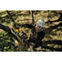 Dewalt DCCS670B FLEXVOLT 60V MAX Brushless Chainsaw, Tool Only DeWALT