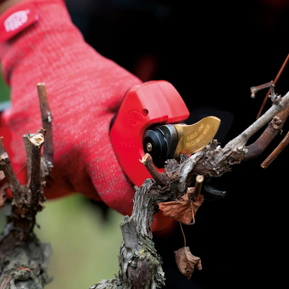 Felco 834V Precision Vineyard Cutting F-834V Felco