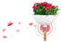 Gardena ClickUp! FlowerBowl Garden Plus