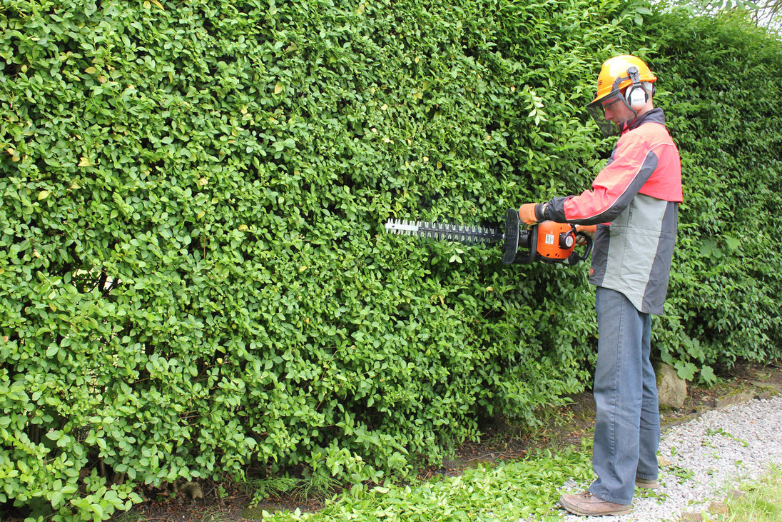 Kiam Sherwood H600 Petrol Hedge Trimmer (21.7cc) 2 stroke Kiam Products