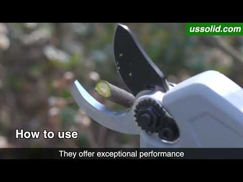 Cordless Electric Pruning Shears with HD Digital Display, Brushless Motor, Max 0.8 Inch(22 mm) Cut U.S. Solid