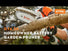 Stihl GTA 26 Battery Pruner w/ Battery & Charger STIHL