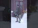 40V 12" Cordless Battery LED Snow Shovel: 4.0 Ah Battery and Charger greenworkstools