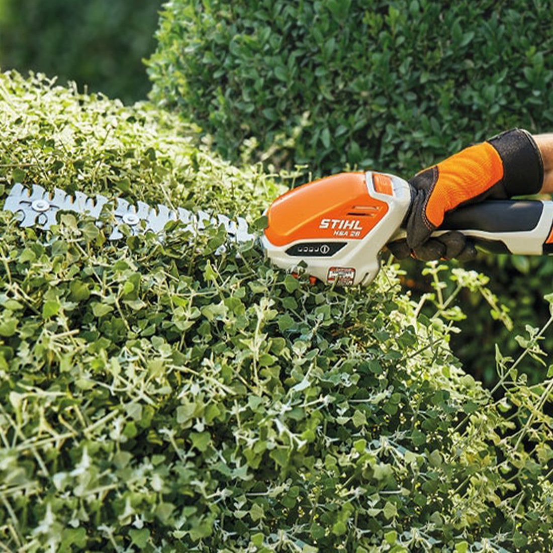 Stihl HSA 26 Battery Garden Shears w/ Battery & Charger STIHL