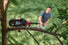 SKIL PWR CORE 20 8 IN. Pole Saw Kit SKIL