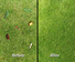 Crytec CRGB-E 1800W | Artificial Grass Brush | Electric | Lawn Sweeper Crytec